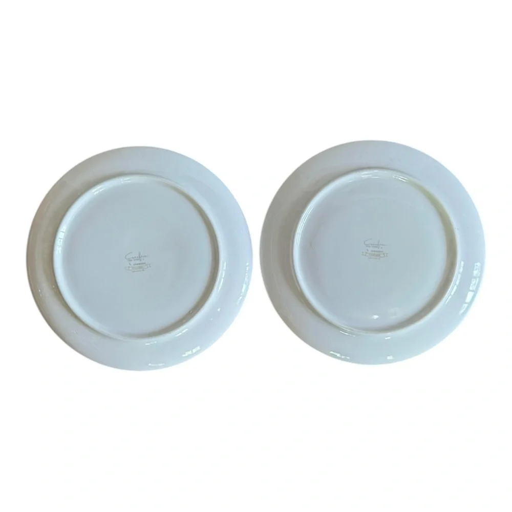 Carefree True China By Syracuse Finesse 10” Dinner Plates Set of Two DC2200
